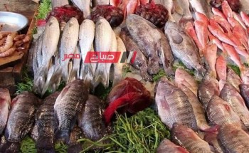 ننشر قائمة أسعار اللحوم والأسماك لكل الانواع في الاسواق المصرية اليوم الاربعاء 10-1-2024
