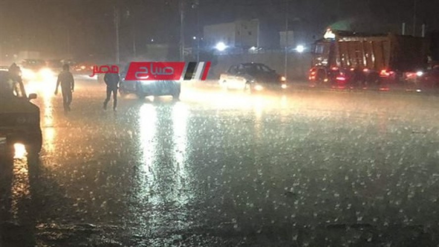 أمطار رعدية تضرب الإسكندرية الان علي جميع الأنحاء والصغرى 9 درجات