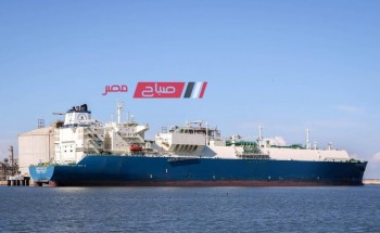 تداول 9 سفن عبر ميناء دمياط وتصدير 7500 طن يوريا خلال 24 ساعة