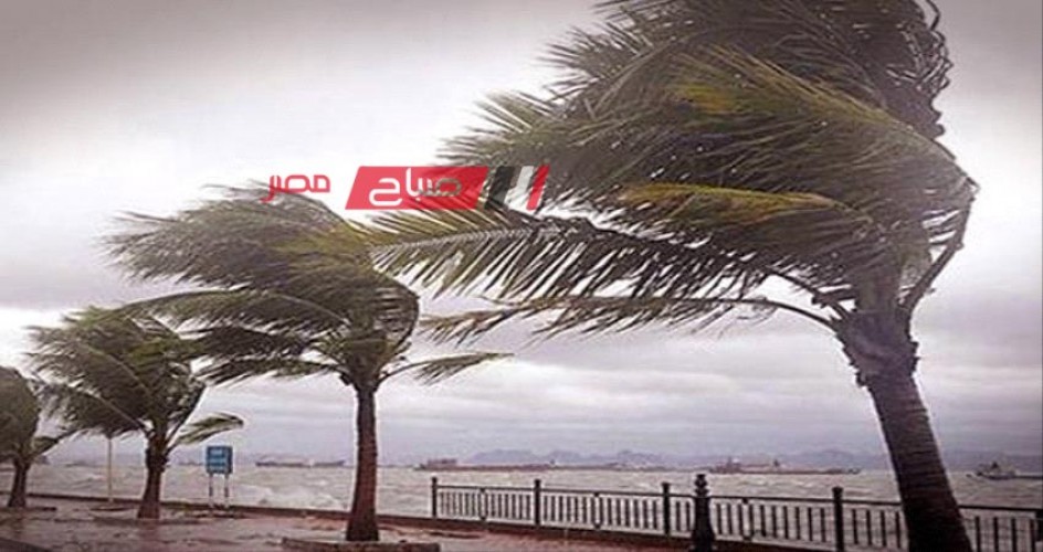 لليوم الثالث هطول أمطار غزيرة علي الإسكندرية في نوة الشمس الصغرى 2024