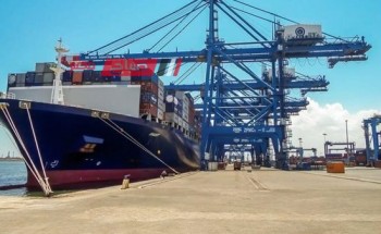ميناء دمياط يعلن تفريغ 565 راس ماشية بوزن 175 طن خلال 24 ساعة