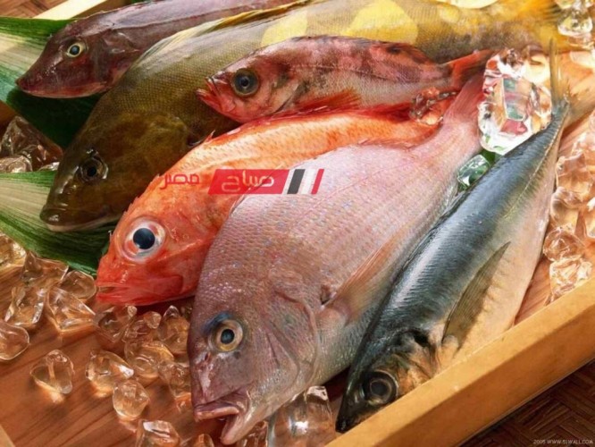 ننشر أسعار اللحوم والأسماك اليوم الثلاثاء 20-2-2024 في جميع محافظات مصر