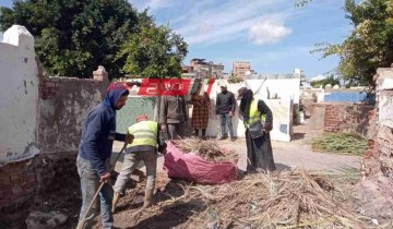 تكثيف اعمال النظافة داخل مقابر أبو المعاطي بمدينة دمياط في استجابة لمطالب المواطنين