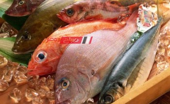 ننشر اخر أسعار اللحوم والأسماك اليوم الاحد 31-3-2024 في الاسواق