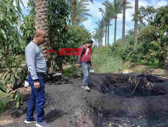 حملات ميدانية لرصد مكامير الفحم المخالفة في كفر البطيخ بدمياط