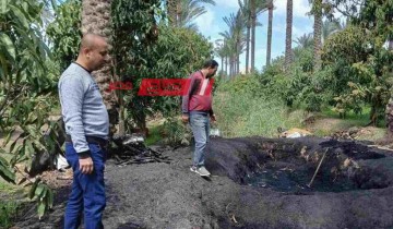 حملات ميدانية لرصد مكامير الفحم المخالفة في كفر البطيخ بدمياط