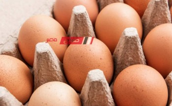 ثبات أسعار الدواجن والبيض اليوم الخميس 7-3-2024 في الاسواق المصرية
