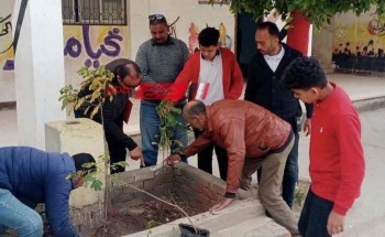 طلاب مدارس دمياط يشاركون في مبادرة زراعة 100 مليون شجرة