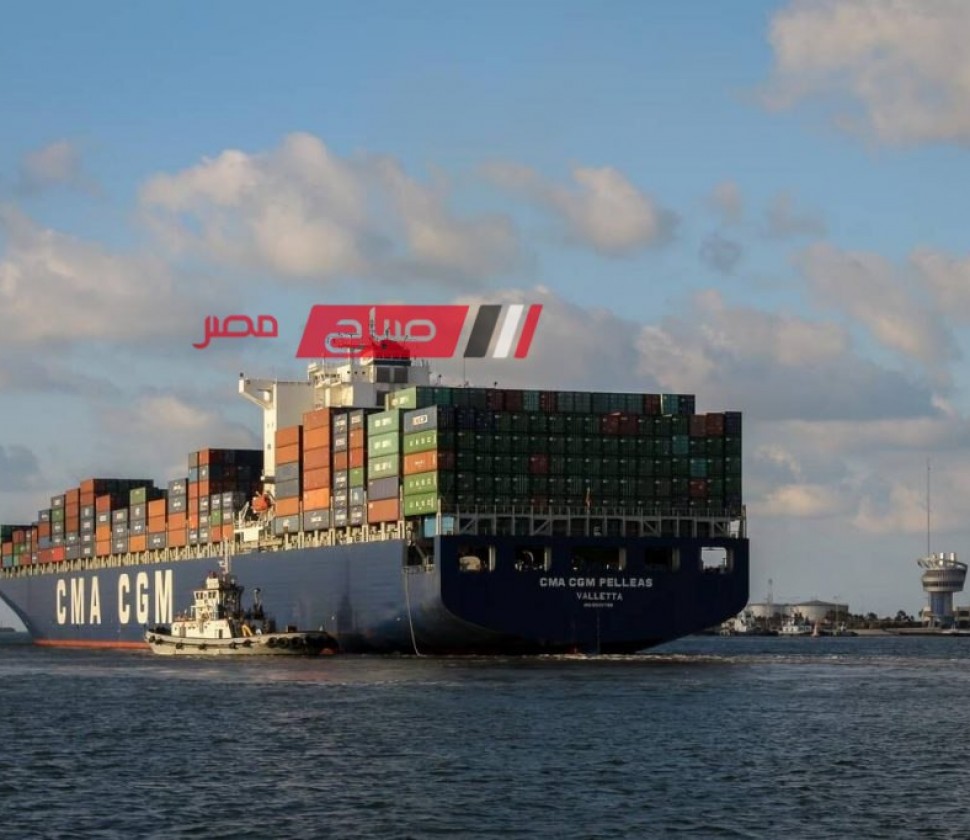 ميناء دمياط يستقبل 5982 طن من القمح لصالح القطاع الخاص