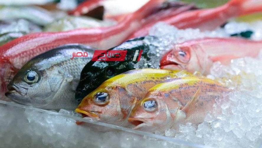 ثبات أسعار اللحوم والأسماك اليوم الجمعة 26-4-2024 بالاسواق المصرية