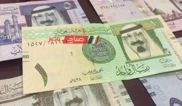 استقرار أسعار الريال السعودي اليوم الخميس 25-4-2024 مقابل الجنيه بحسب البيع والشراء