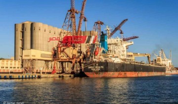ميناء دمياط يستقبل 90 الف طن قمح لصالح القطاع الخاص والعام