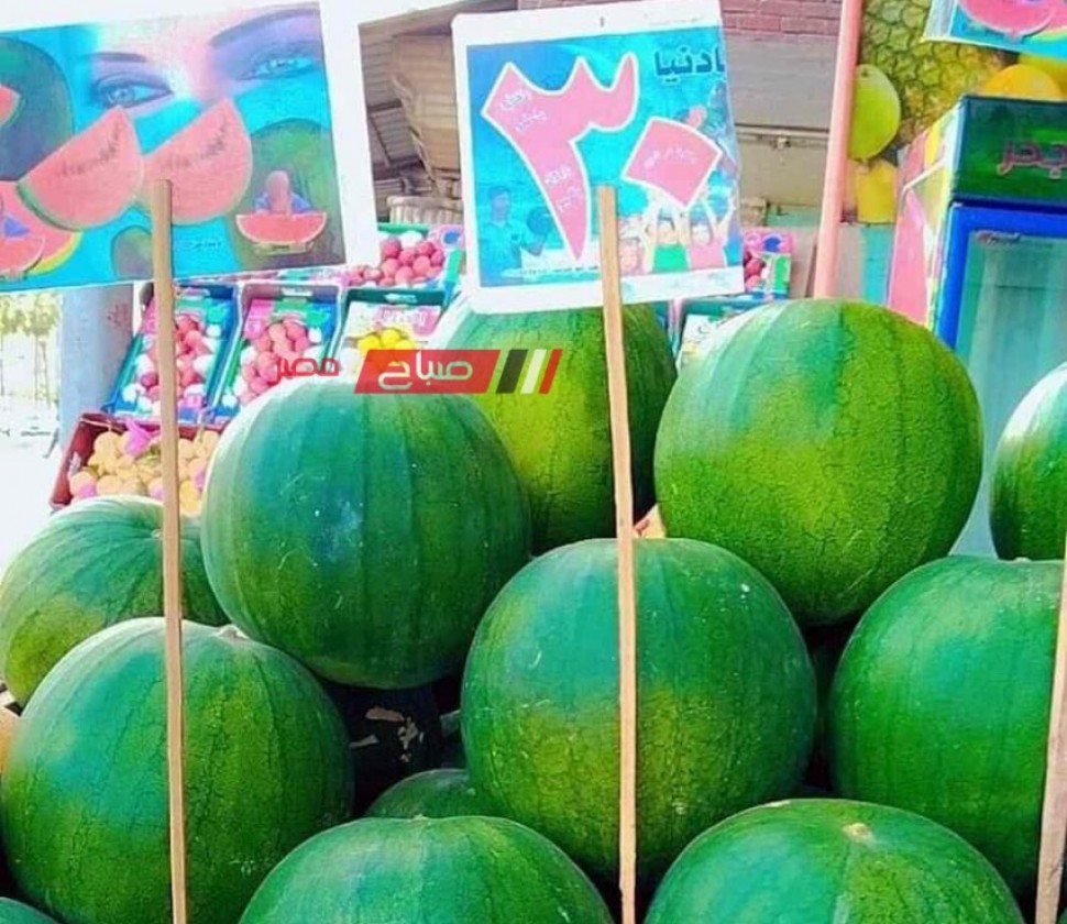 قبل اوانه … ظهور البطيخ في أسواق دمياط بسعر 30 جنيه