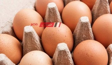 تعرف على متوسط أسعار الدواجن والبيض اليوم الخميس 11-4-2024 باسواق محافظات مصر