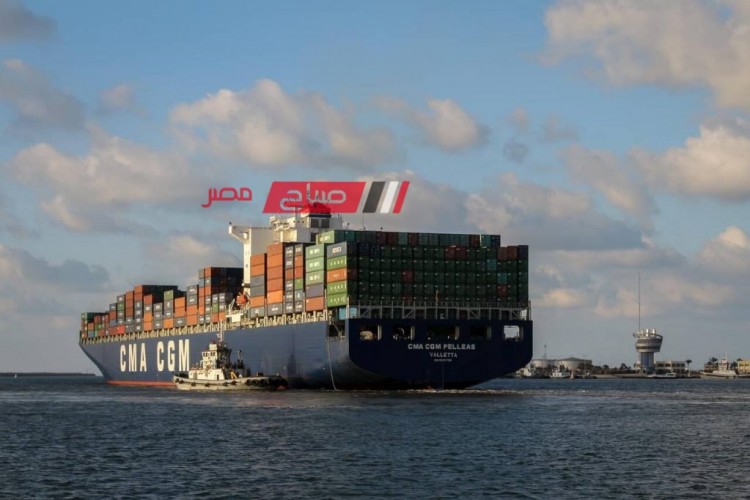 ميناء دمياط يستقبل 4 سفن بضائع متنوعة خلال 24 ساعة