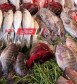 ننشر قائمة أسعار اللحوم والأسماك اليوم السبت 20-4-2024 عبر الاسواق المصرية