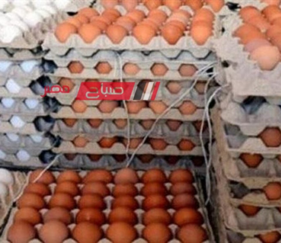 قائمة أسعار الدواجن والبيض في اسواق مصر اليوم الثلاثاء 16-4-2024