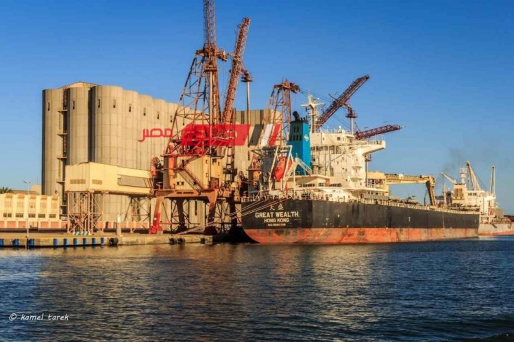 تداول 20 سفينة عبر ميناء دمياط خلال 24 ساعة وتصدير 4341 طن رمل