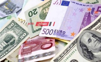 استقرار أسعار العملات اليوم الاربعاء 17-4-2024 في مقابل الجنيه بالبنوك