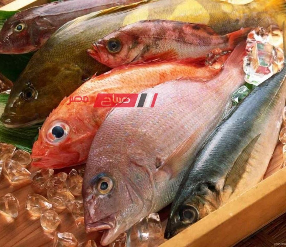 ننشر احدث أسعار اللحوم والأسماك اليوم الاربعاء 24-4-2024 بالتعاملات السوقيه