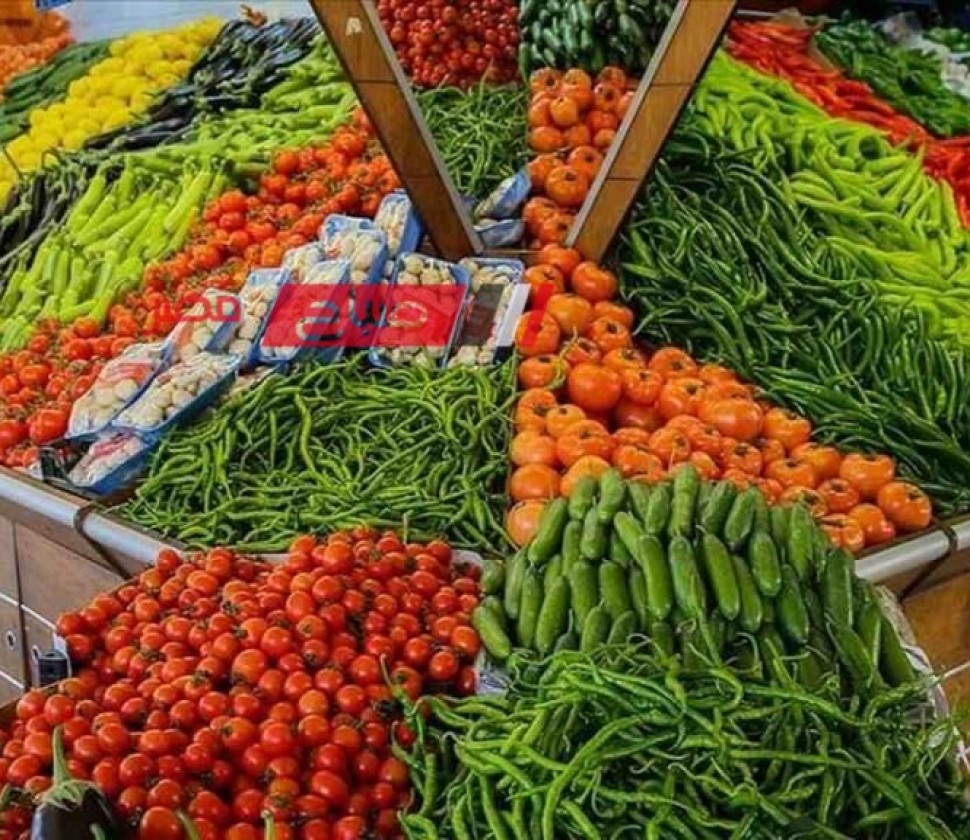 ثبات أسعار الخضروات اليوم الاربعاء 17-4-2024 في الاسواق المحلية … ننشر احدثها