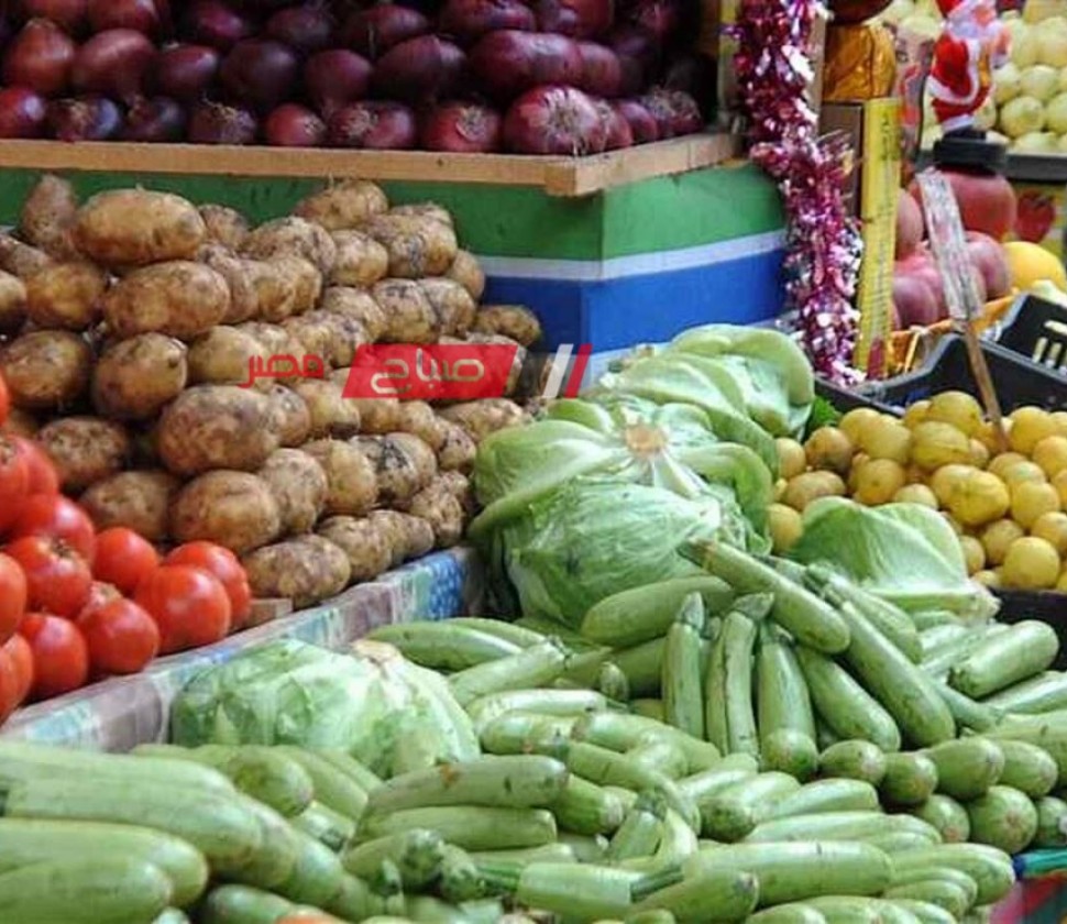 استقرار أسعار الخضروات اليوم الاحد 28-4-2024 من كل الانواع داخل الاسواق