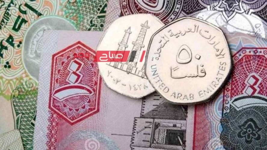استقرار أسعار الدرهم الإماراتي اليوم الاحد 7-4-2024 مقابل الجنيه المصري في البيع والشراء