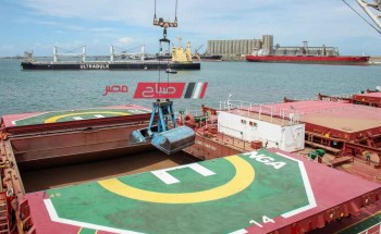 ميناء دمياط: وصول 66 ألف طن من القمح لصالح القطاع الخاص