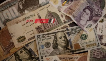 سعر الدولار اليوم الأثنين 29-4-2024 في البنوك أمام الجنيه المصري