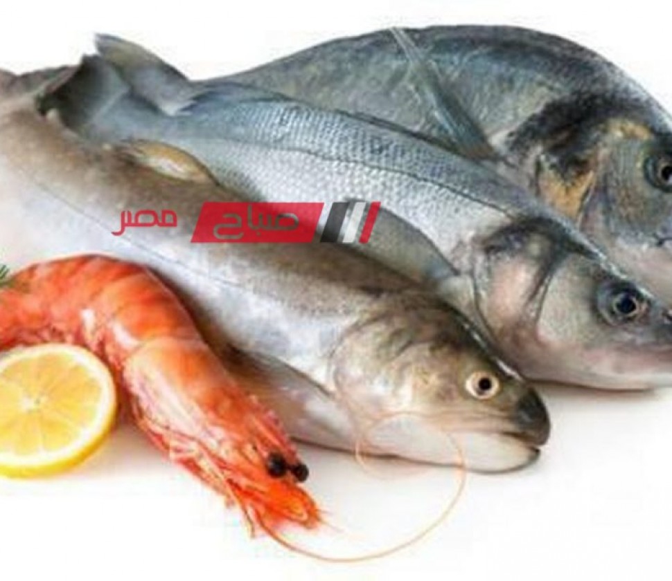 تعرف على احدث أسعار الأسماك واللحوم اليوم الخميس 9-5-2024 بالاسواق المصرية