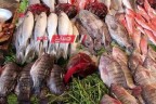 ننشر تفاصيل أسعار الأسماك واللحوم اليوم الجمعة 10-5-2024 بالاسواق المصرية