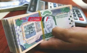 ثبات أسعار الريال السعودي اليوم الاثنين 6-5-2024 واستقرار التداول على الجنيه المصري