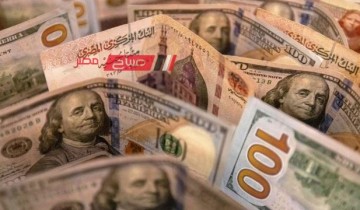 انخفاض سعر الدولار في ختام تعاملات اليوم الثلاثاء أمام الجنيه المصري