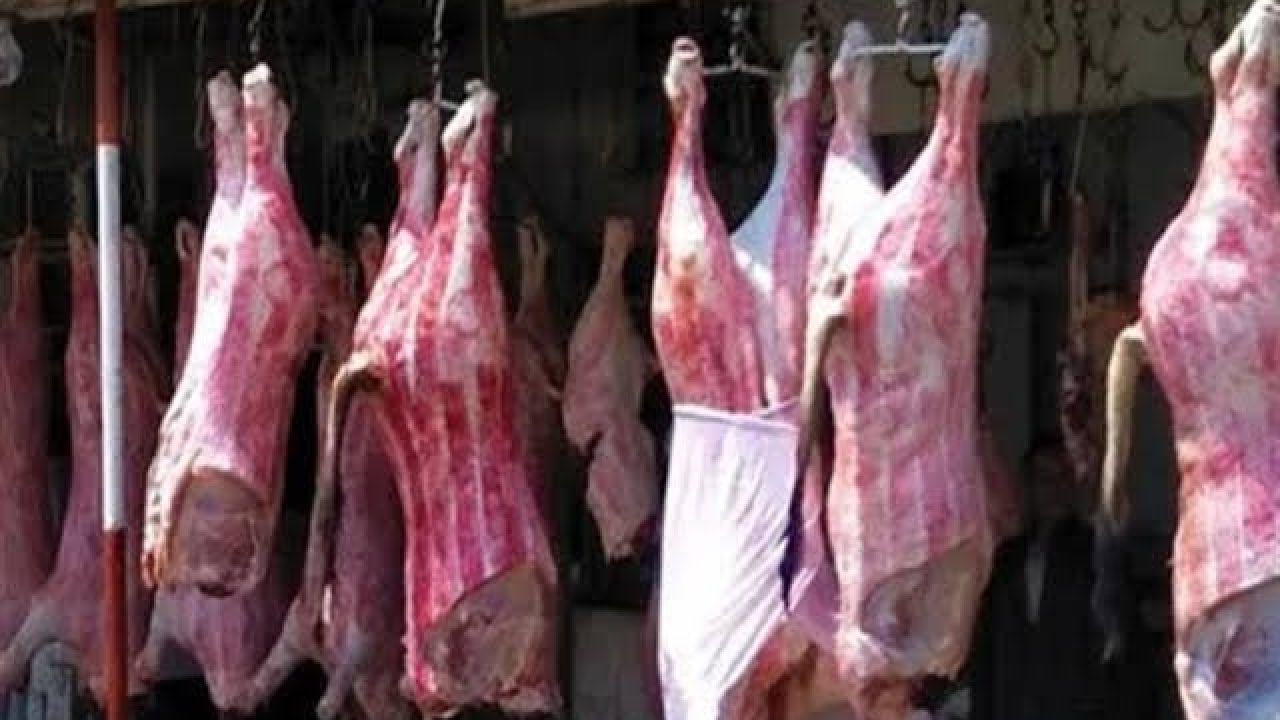 20 جنيهًا انخفاضًا في أسعار اللحوم الضاني في الأسواق - موقع صباح مصر