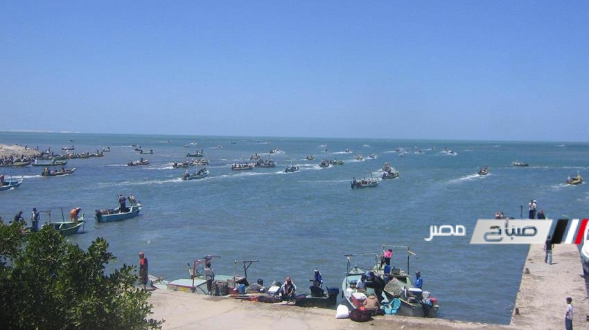 بحيرة المنزلة 