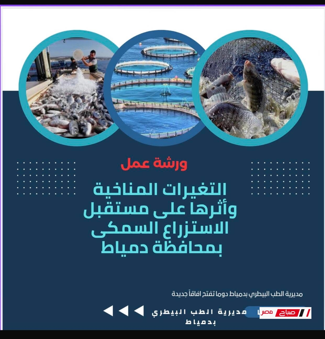 بيطري دمياط يعقد ورشة عن التغيرات المناخية وأثرها على مستقبل الاستزراع السمكى الاربعاء المقبل
