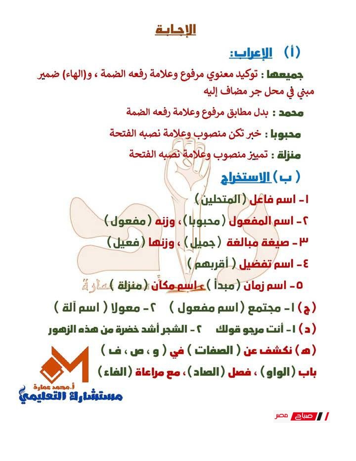 مراجعة نحو هامة للصف الثالث الإعدادي الترم الثاني 2025 + الإجابة 29 2 15