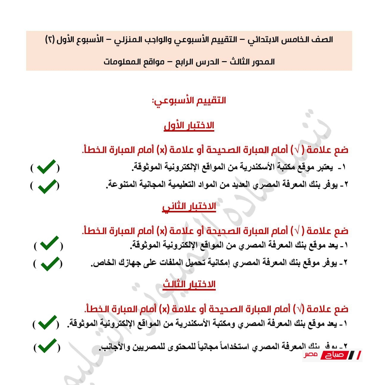 حل تقييمات تكنولوجيا المعلومات للصف الخامس الابتدائي الترم الثاني 2025 30 2