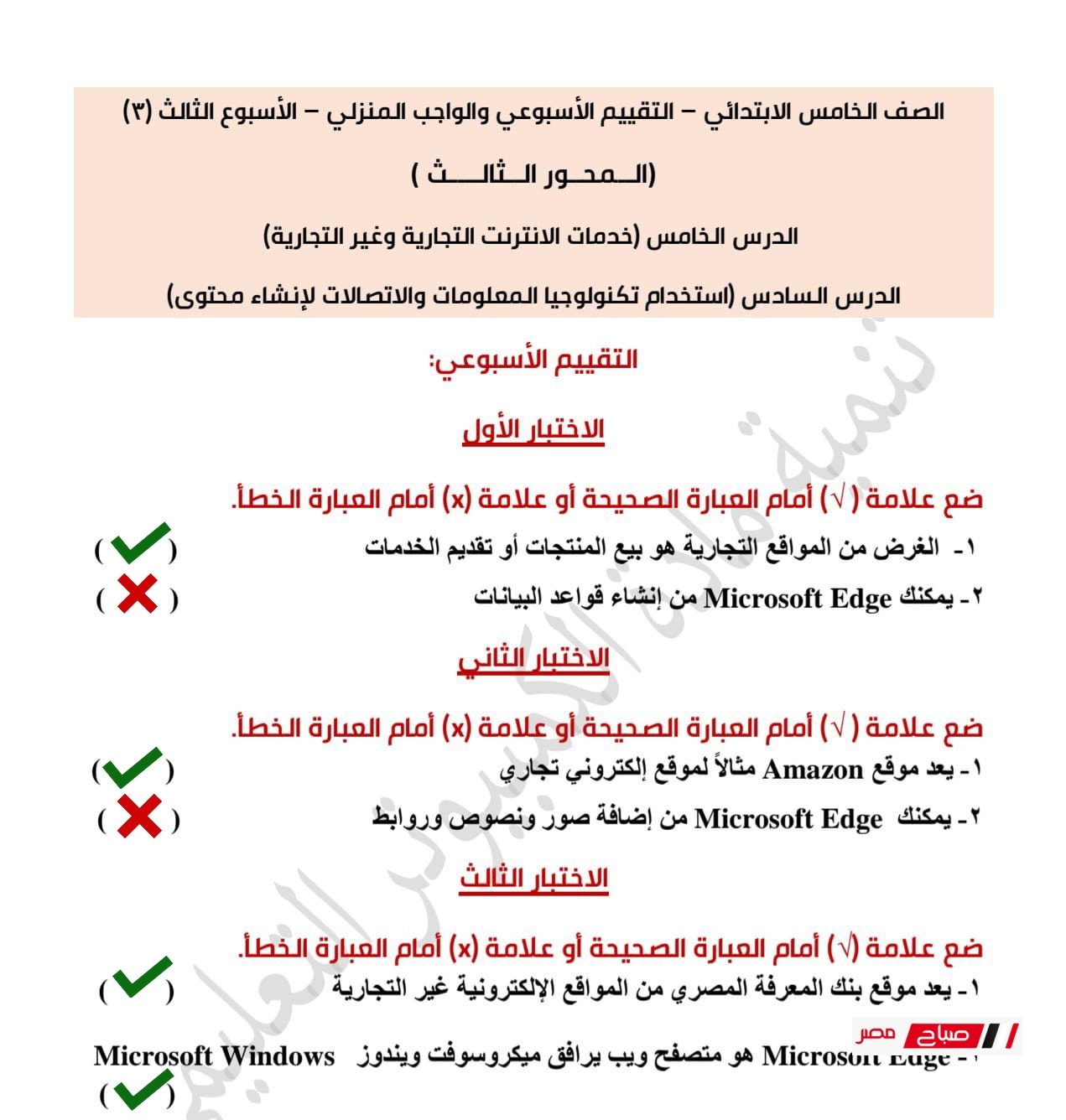 حل تقييمات تكنولوجيا المعلومات للصف الخامس الابتدائي الترم الثاني 2025 31 3 1