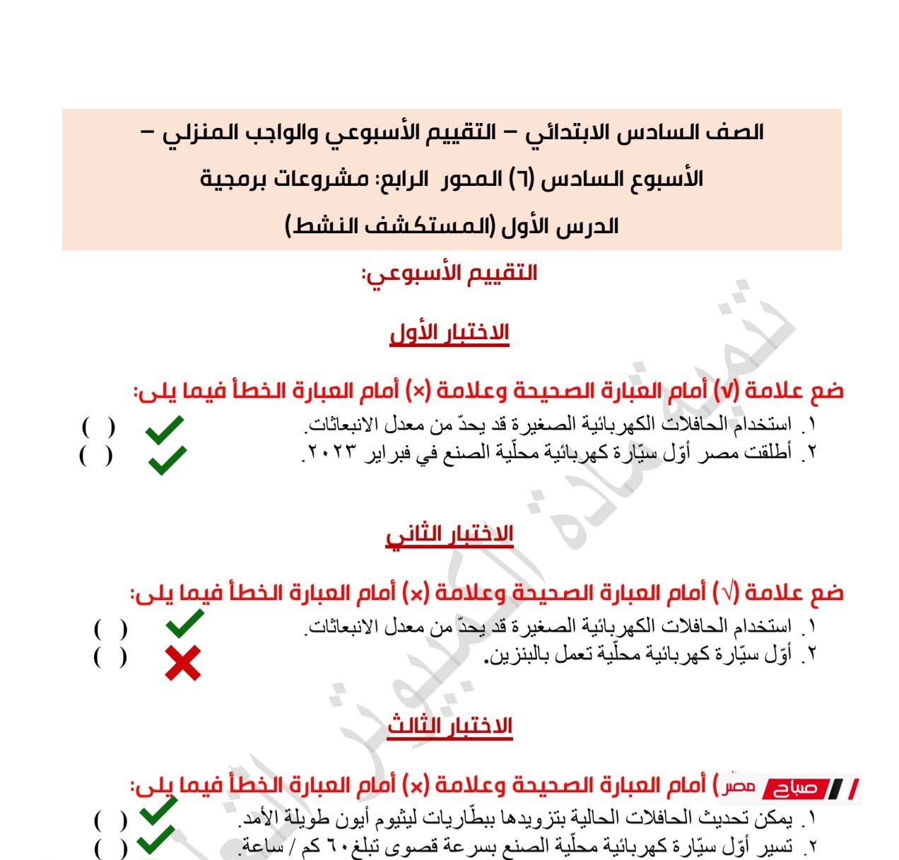 حلول تقييمات تكنولوجيا المعلومات للصف السادس الابتدائي الترم الثاني 2025 38 497802609 1157418556398205 1147271614220878108 n