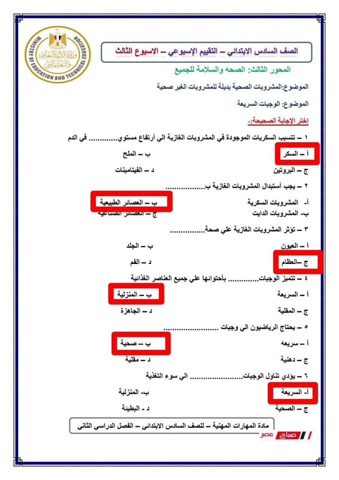 امتحان المهارات المهنية للصف السادس الابتدائي آخر العام مع الحل - الترم الثاني 38 499242499 1132451365564185 2688158706100140770 n