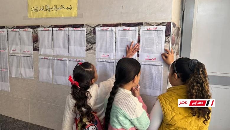 فور صدورها.. خطوات الاستعلام عن نتيجة الصف الأول الابتدائي 2025 بمحافظة القليوبية