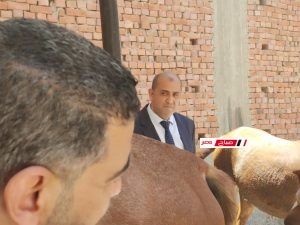فحص 920 حالة ضمن فعاليات القافله البيطرية المجانيه بقرية العنانية في دمياط .. لدعم الثروة الحيوانية 30 873EBF66 34E1 408A A554 ECC26B637DA5