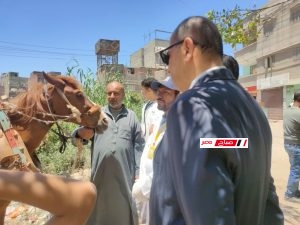 فحص 920 حالة ضمن فعاليات القافله البيطرية المجانيه بقرية العنانية في دمياط .. لدعم الثروة الحيوانية 28 D8D0FA66 0992 4DDB 8299 AFCDB1FB31A4