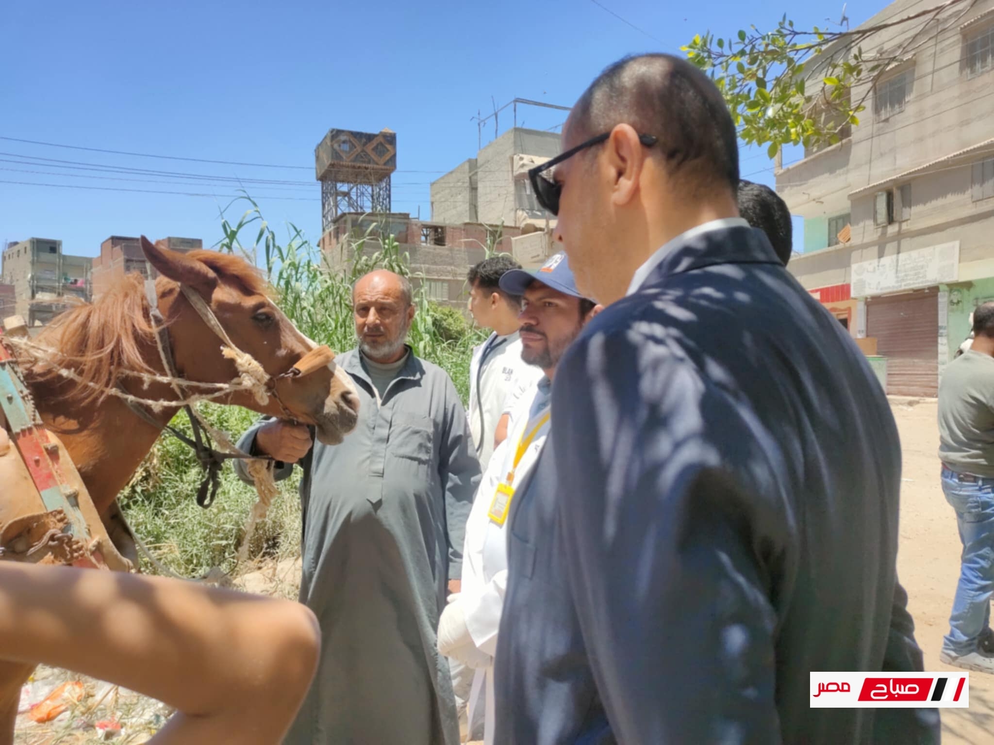 فحص 920 حالة ضمن فعاليات القافله البيطرية المجانيه بقرية العنانية في دمياط .. لدعم الثروة الحيوانية