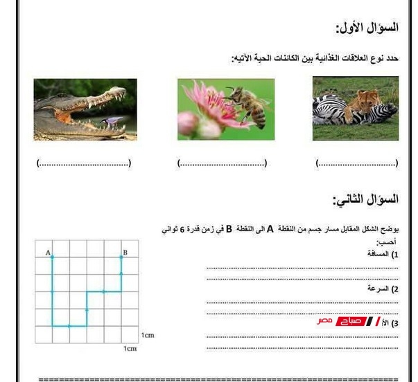 امتحان عملي علوم للصف الأول الإعدادي بالإجابة الترم الثانى
