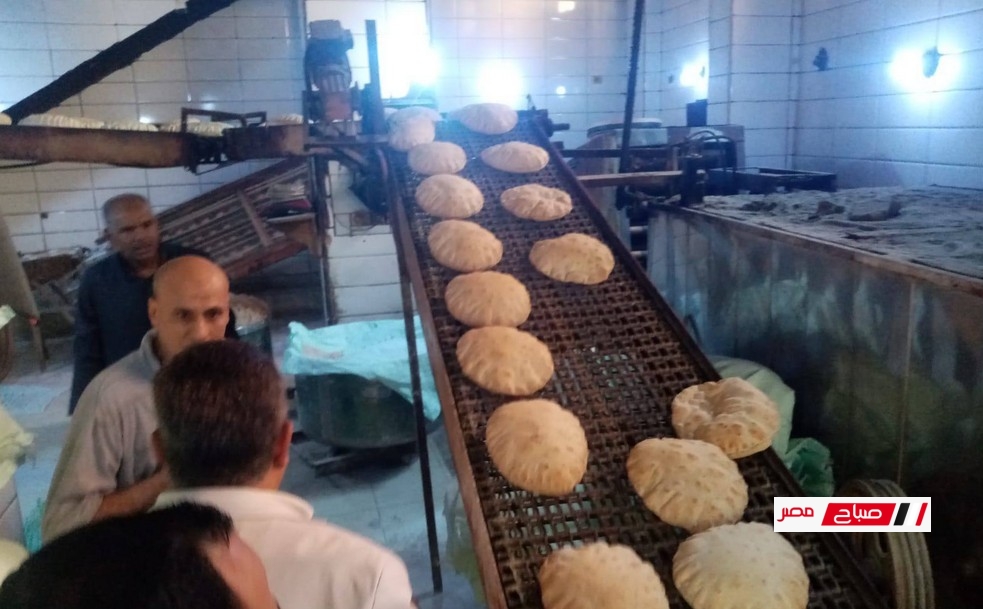 محافظ الدقهلية يفاجئ أفران الخبز بوجوده داخلها