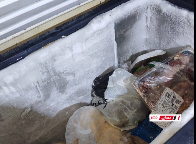 ضبط ١٣١٩ كجم دواجن وجمبري وكاليمارى وحواوشى منتهى الصلاحية بدمياط