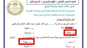 امتحان المهارات المهنية للصف السادس الابتدائي آخر العام مع الحل الترم الثاني