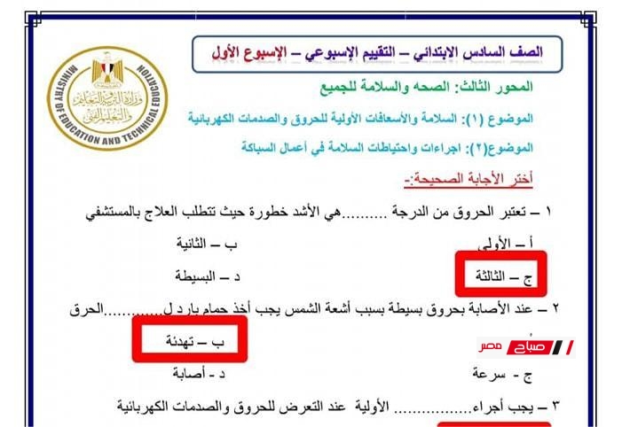 امتحان المهارات المهنية للصف السادس الابتدائي آخر العام مع الحل – الترم الثاني